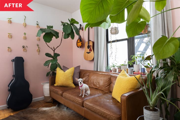 之后：粉红色和白色起居室，棕色皮革沙发和大量的植物
