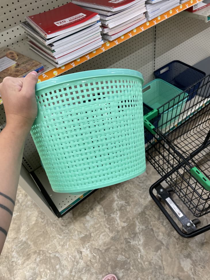 holding up a basket in the dollar store