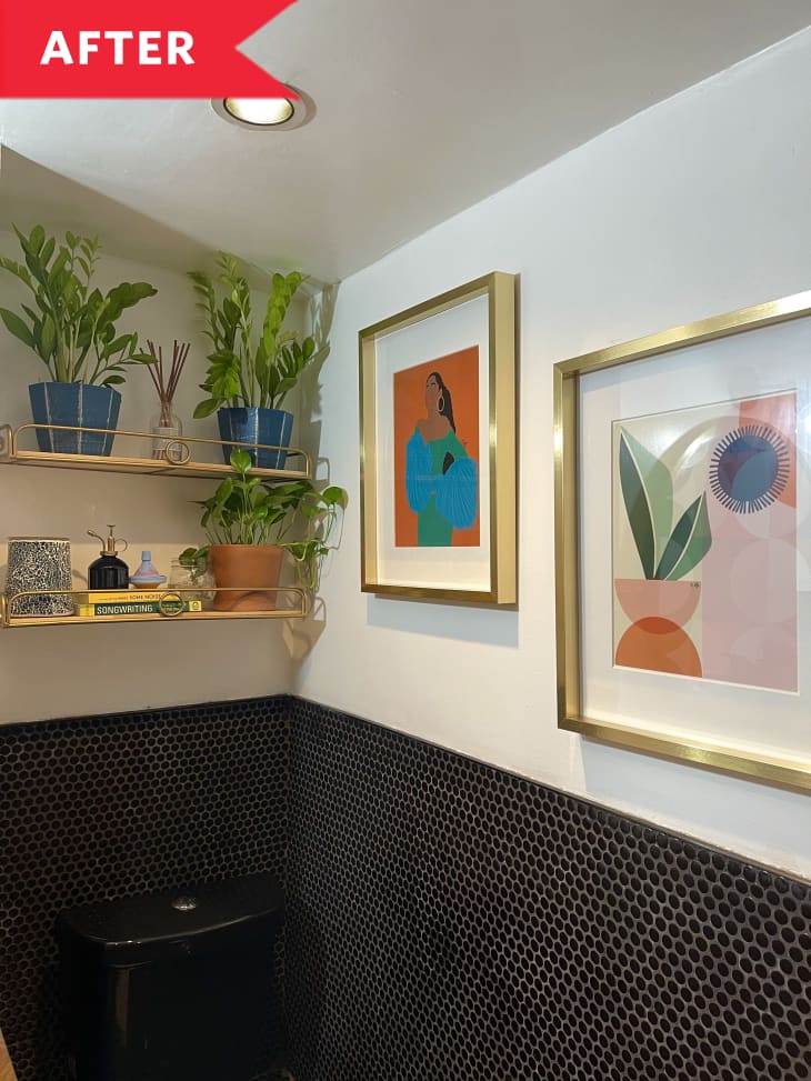 After: Artwork and shelves with plants hanging on wall in corner of bathroom