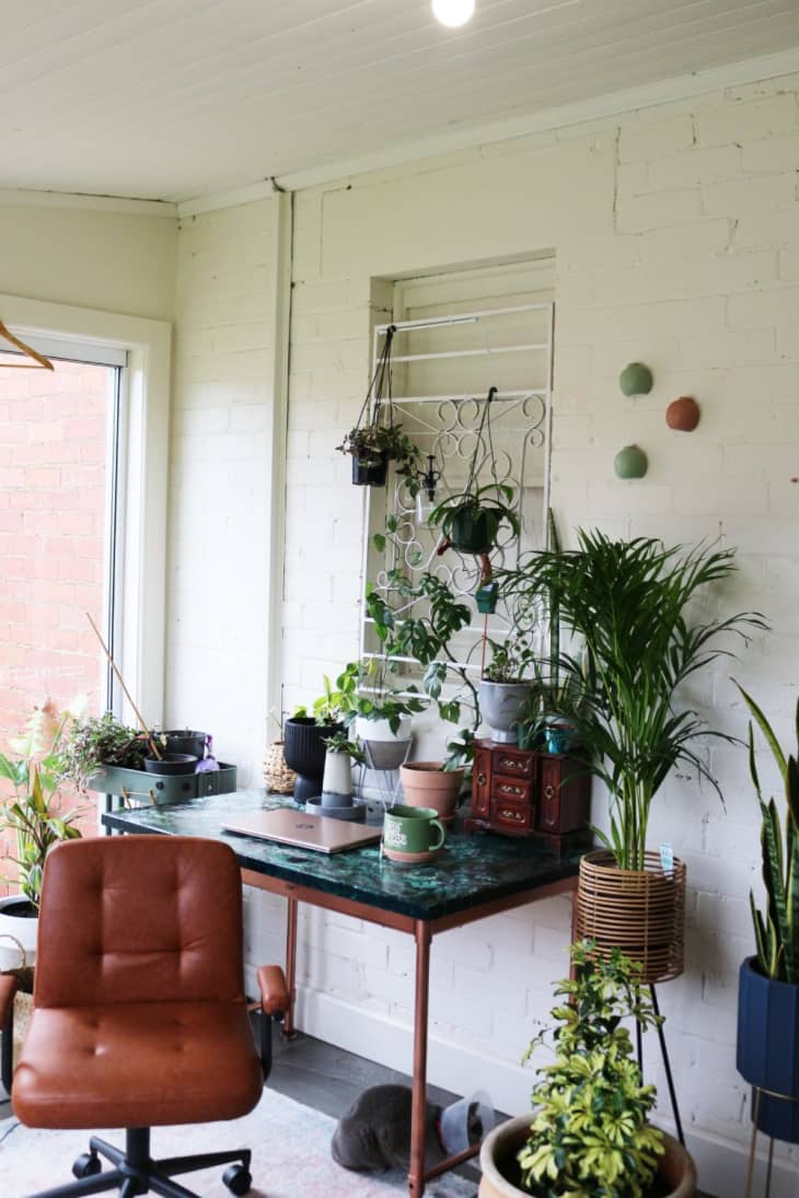 Desk with a faux marble top, filled with plants