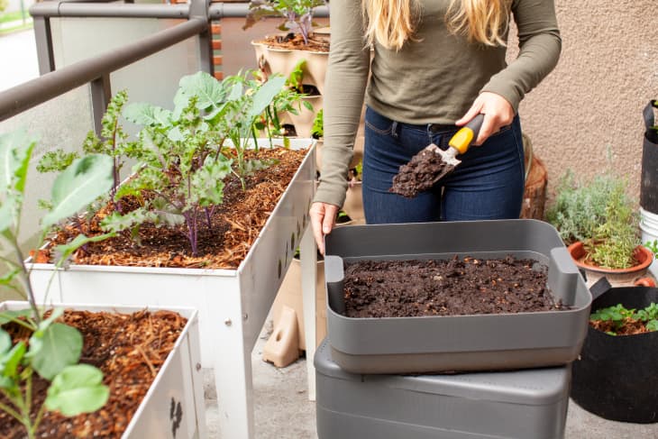 woman using worm compost to enrich her raised garden beds on a balcony