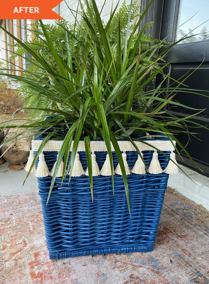 After: Plant in blue wicker container