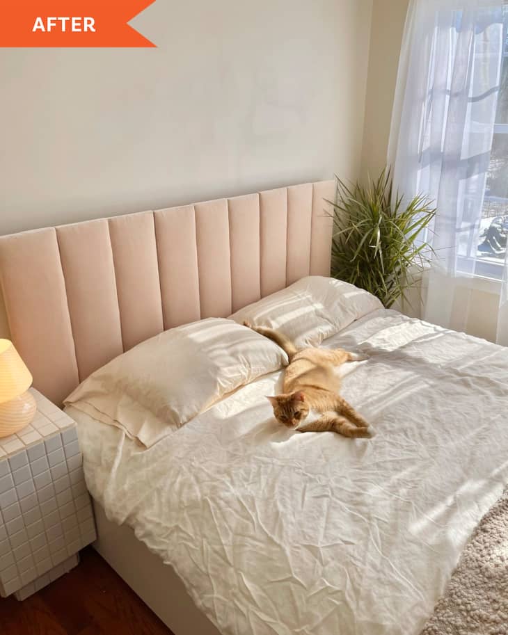 "After" photo of a bed with a new DIY quilted headboard. Rooms is it by a small lamp, and light from window. colors are neutral beiges, off-whites, rose. Ginger cat lying on bed