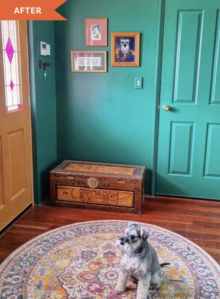 After: Dog sitting in entryway