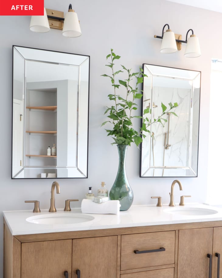 After: two mirrors over two bathroom sinks with a plant in the middle
