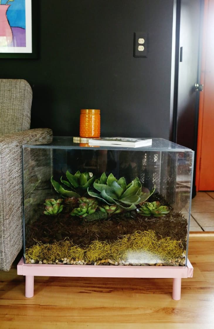 Terrarium side table next to a couch. The terrarium is filled with succulents.