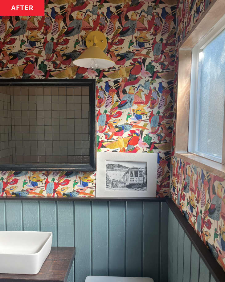 After: colorful bird wallpaper in the bathroom