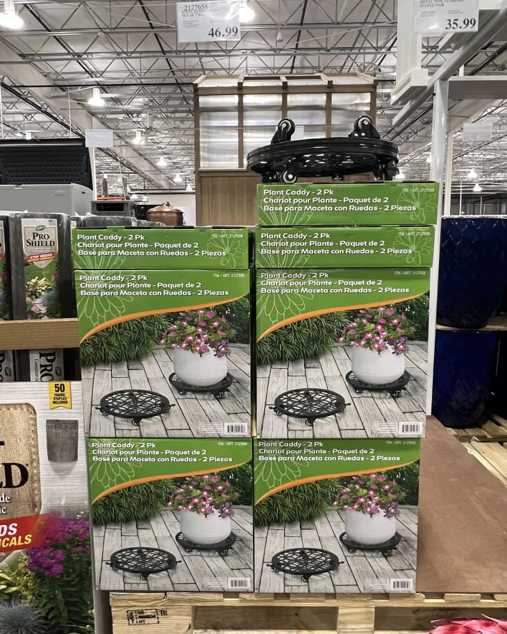 corner plant stand with grow lights Plant Stand Indoor with Grow Lights, 4-Head & 3-Color LED Corner Plant  Stand, 63