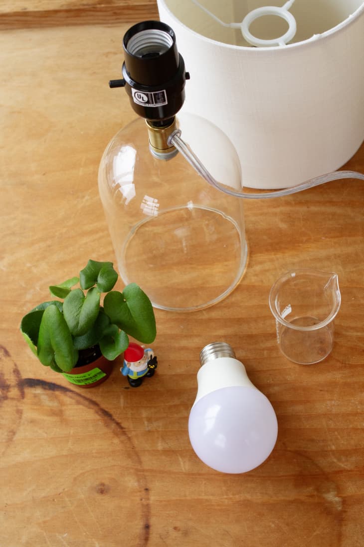 I Tried TikTok's Terrarium Plant Lamp Hack | Apartment Therapy
