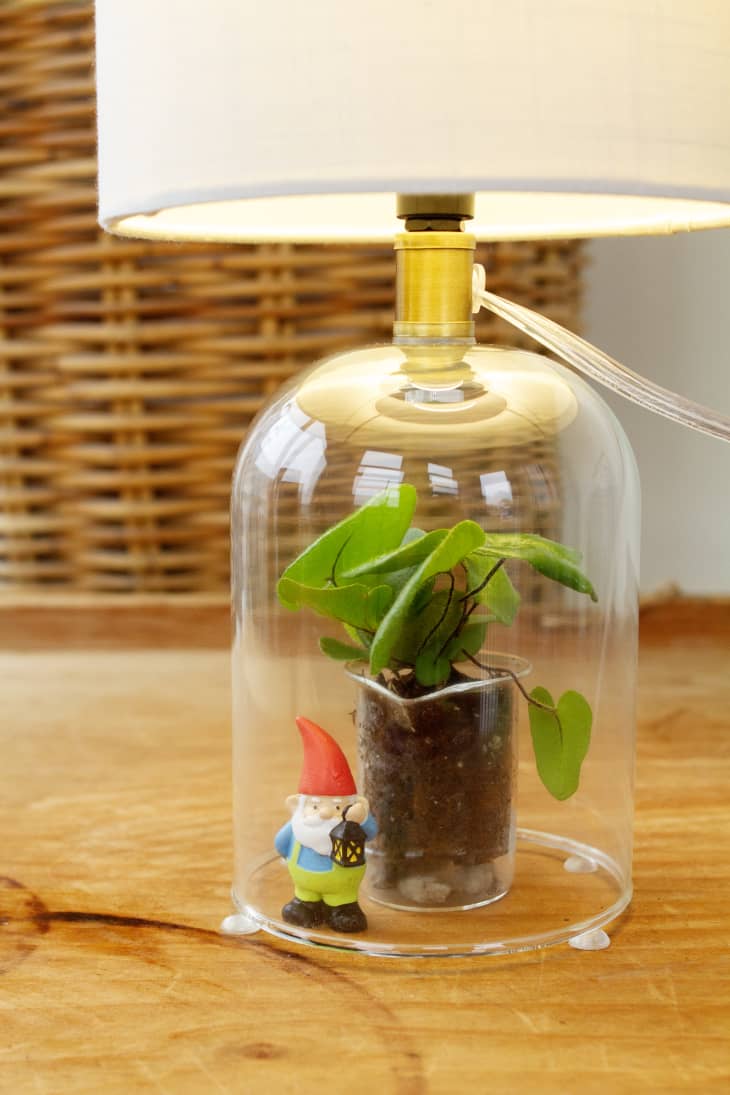 I Tried TikTok's Terrarium Plant Lamp Hack Apartment Therapy