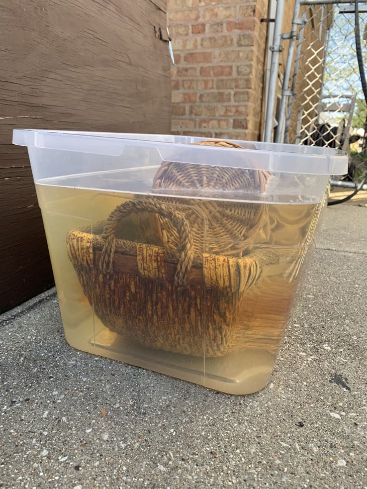Soaking wicker basket in plastic tub containing water and bleach