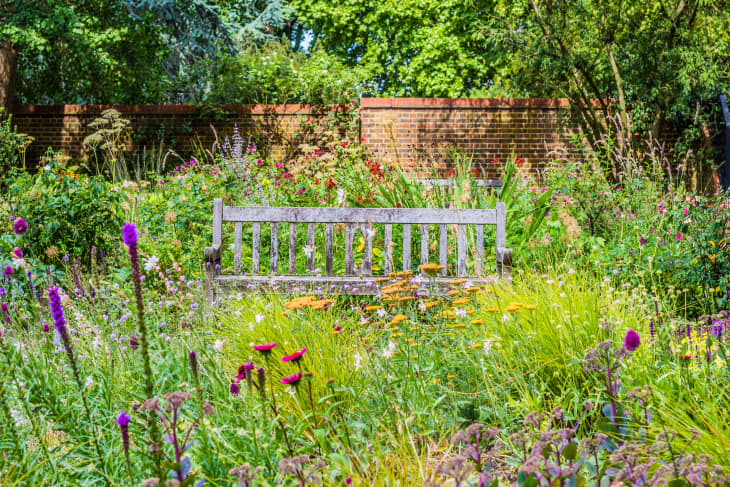 Rustic bench in the middle of a wildflower yard with surrounded by a brick wall