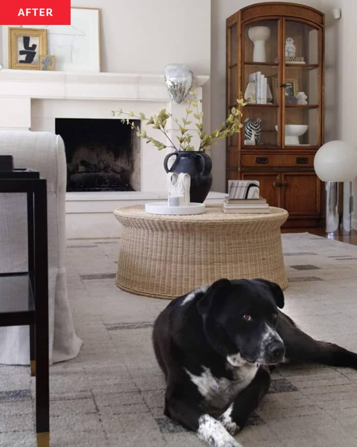 Dog sits in newly renovated living room with neutral colored carpets and furniture.