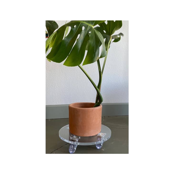 Product Image: Acrylic Plant Caddy
