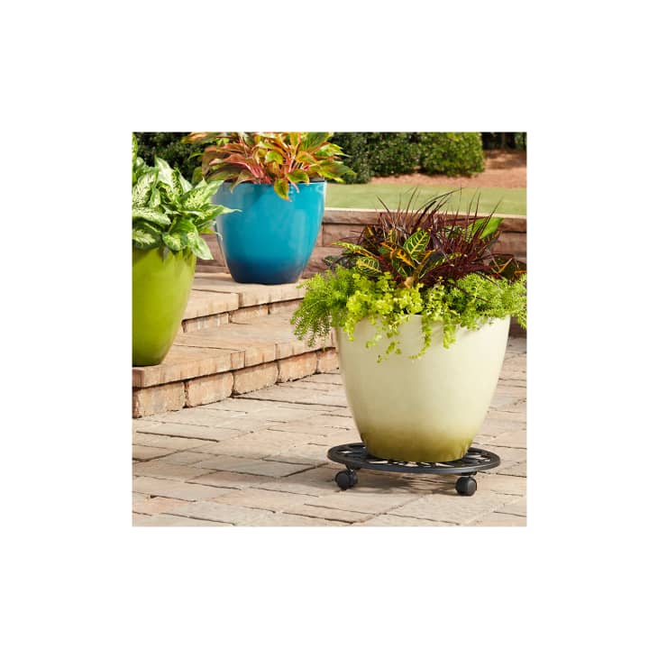 Product Image: allen + roth Black Plant Caddy