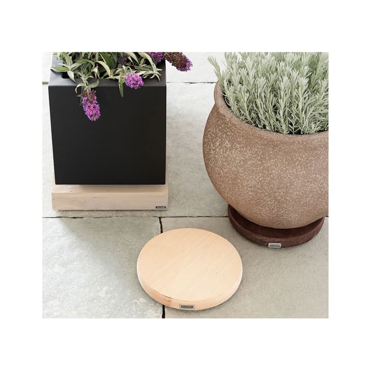 Product Image: Plant Caddy On Wheels