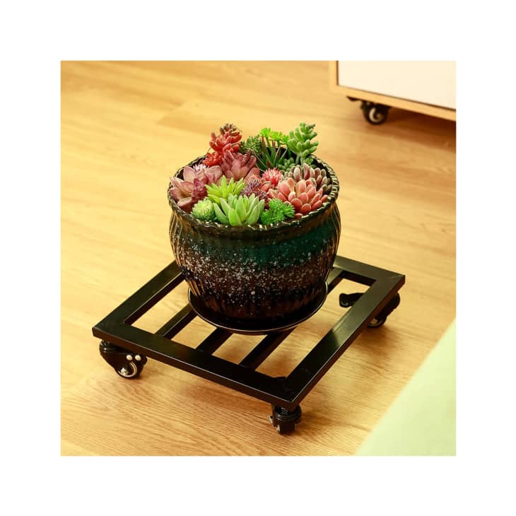 Product Image: Metal Square Plant Caddy with Wheels (2-Pack)