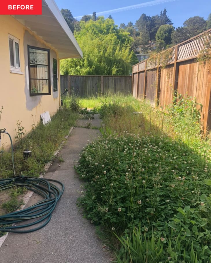 Side yard with overgrown grass before renovation.