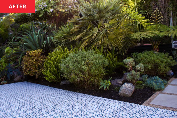 white house with black and white tiled large deck in yard: detail of plants