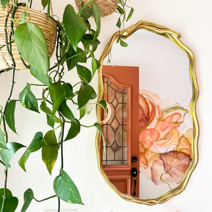 Mirror with a faux snake border painted gold