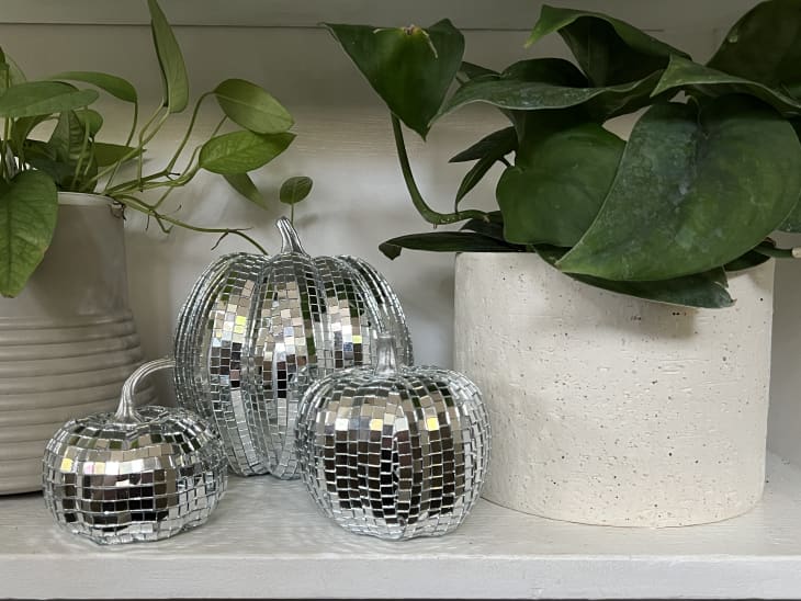 Faux pumpkins covered in disco tiles, displayed on a bookshelf between potted plants
