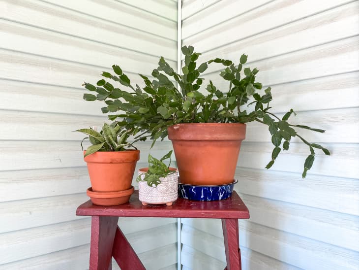 One Surprising Thing I Always Buy at Estate Sales | Apartment Therapy
