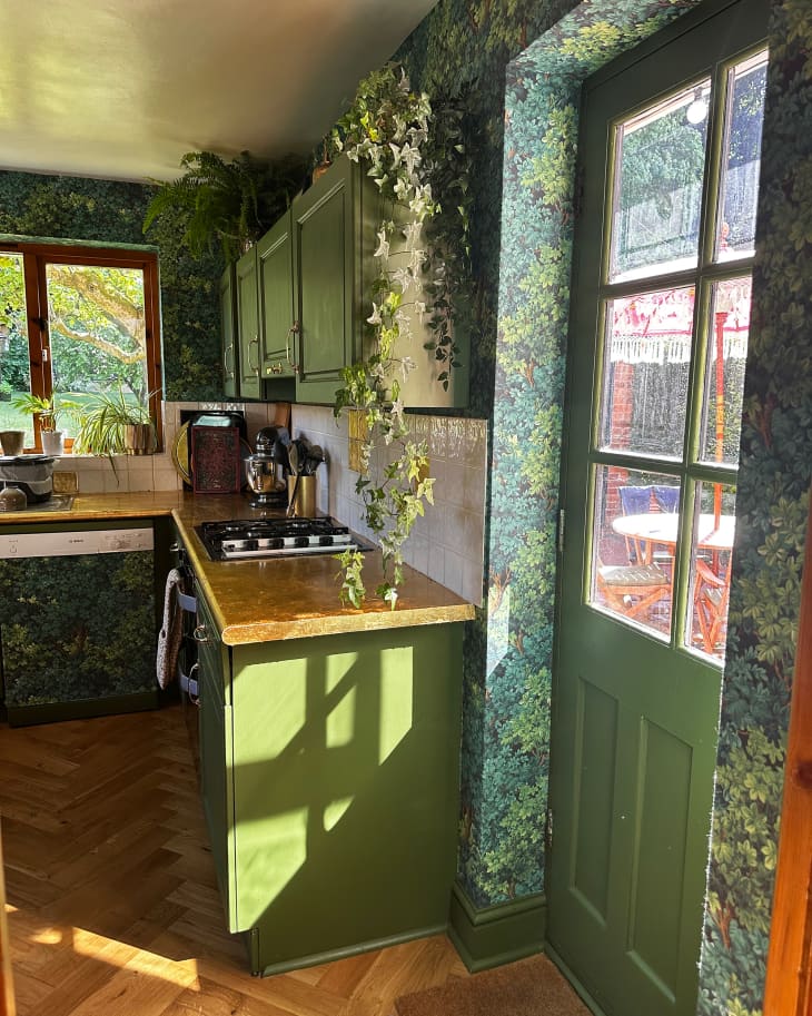 Green botanical wallpaper in newly renovated kitchen.