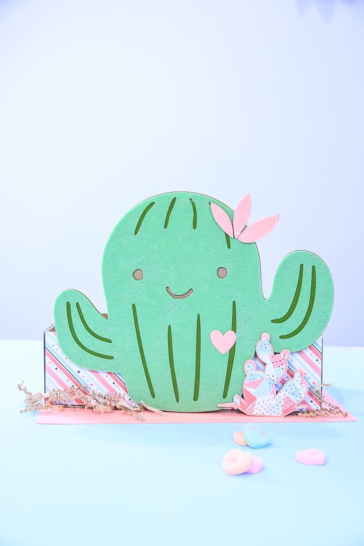Cactus Valentine's day box.