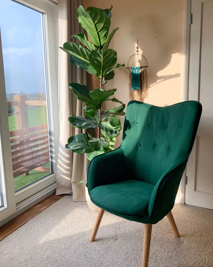 Green painted armchair.