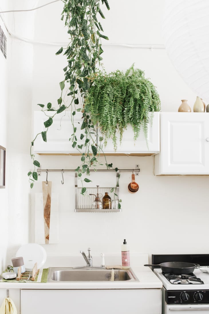 The Best Tiny Kitchens on Apartment Therapy