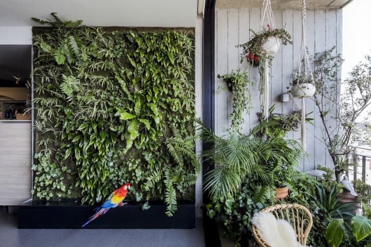 15 Indoor Garden Ideas How To Make A Garden Inside Your Home