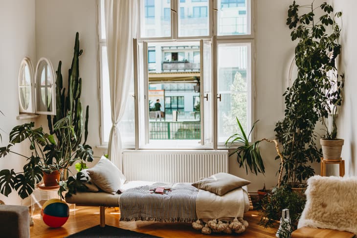 Minimal Plant-Filled Berlin Flat Tour Photos | Apartment Therapy