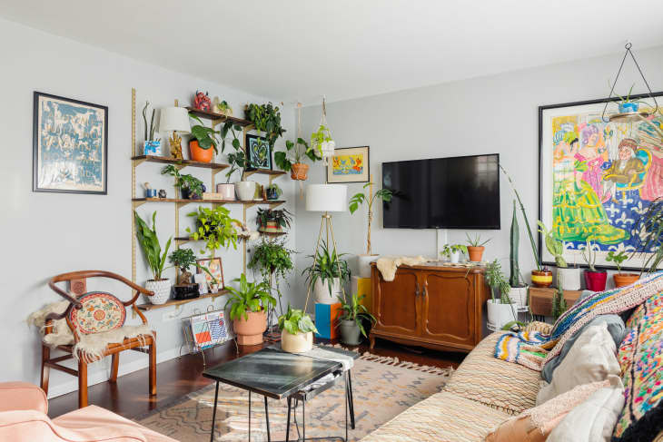 11 Plant Styling Tips from Apartment Therapy House Tours ...