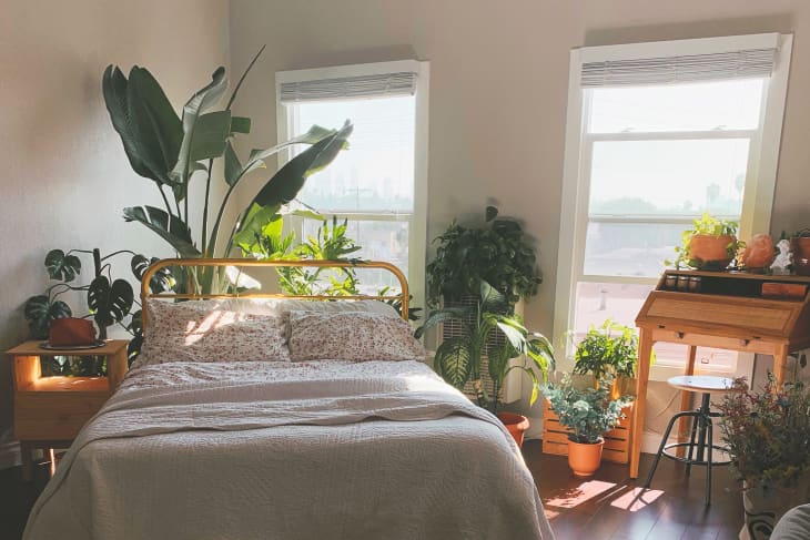 I want a type of like 3-sided glass pane thing to put my plants behind for  the corner of my room on a corner-table. I have NO IDEA at all what to