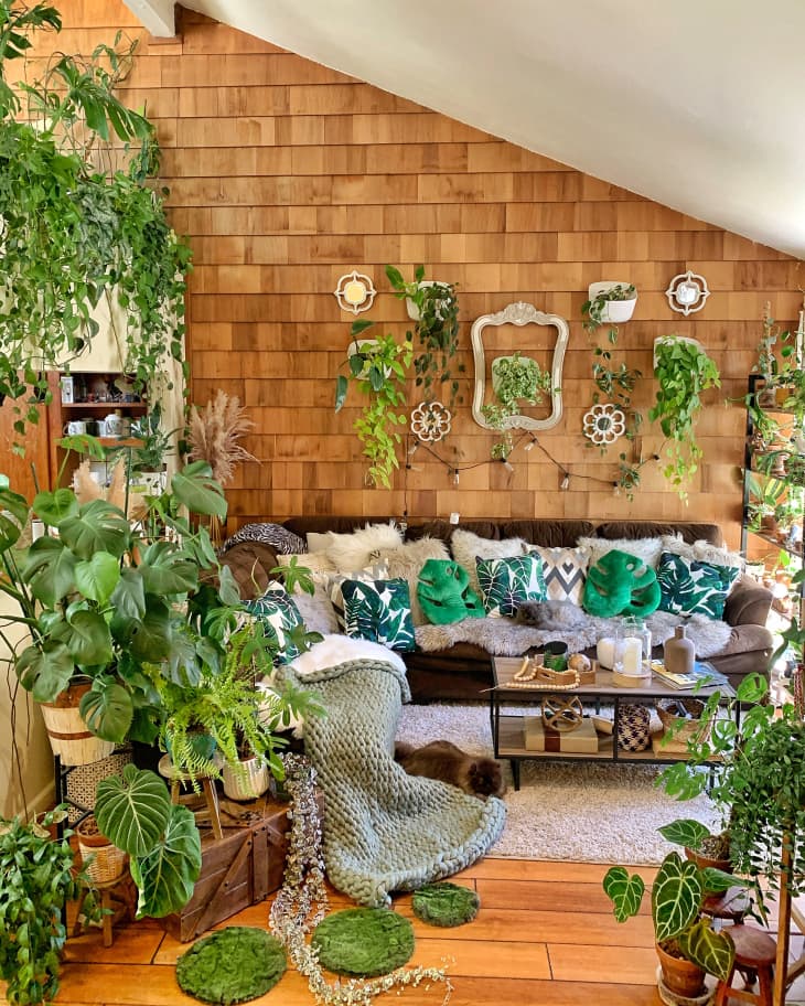 Plant Filled Bohemian California Rental Apartment