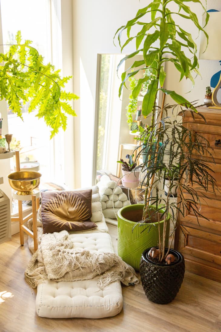 Sunny seating corner filled with plants, crystals, and cozy floor pillows
