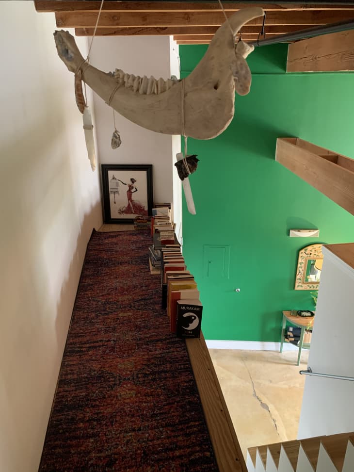 Bone hanging above books