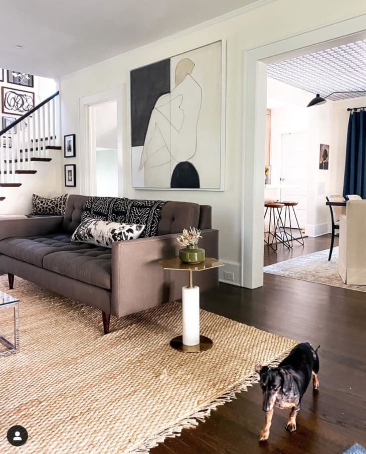 Neutral palette living room with dog walking through