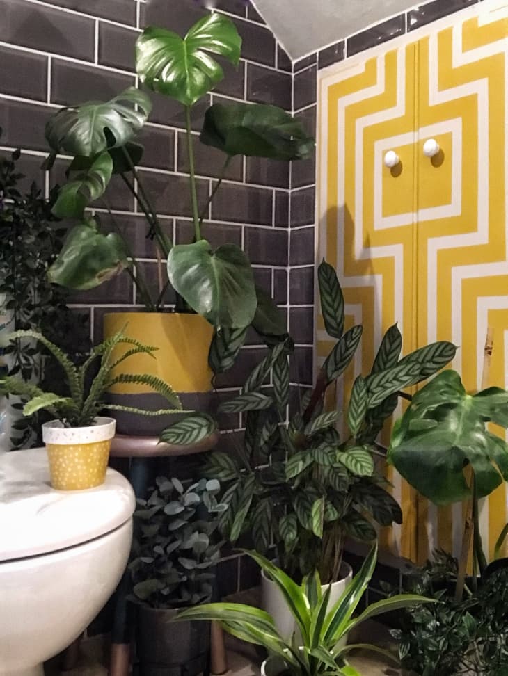 Bathroom with gray tile, funky yellow cabinet, and lots of plants