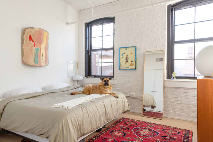 Bedroom with two large windows, white painted brick, and red rug
