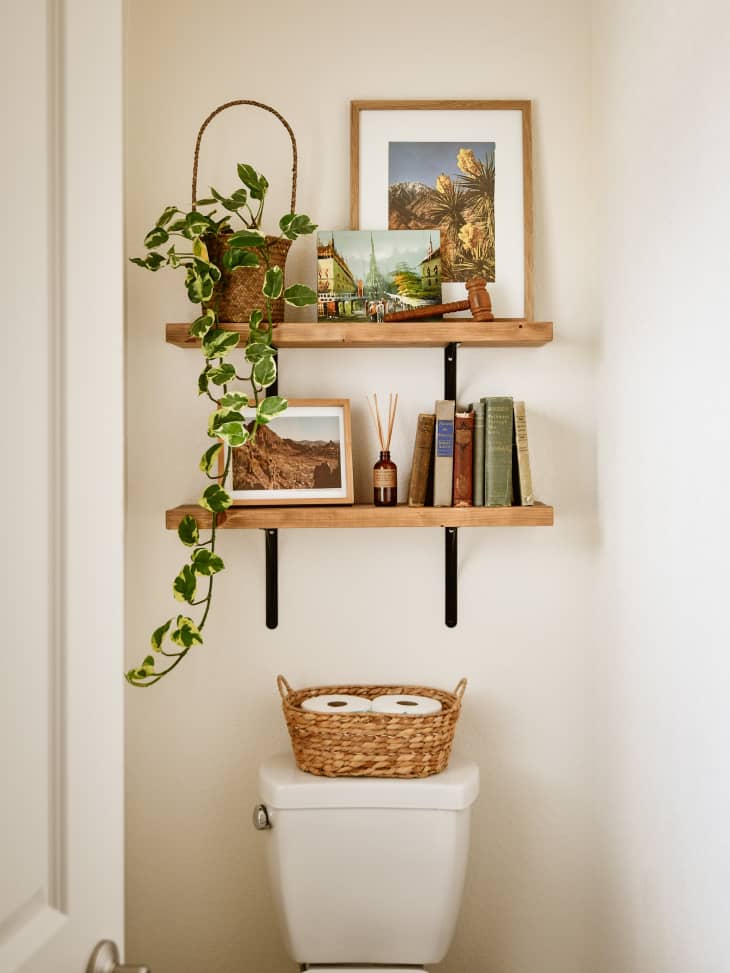 Shelves with books, plants, and frames above toilet