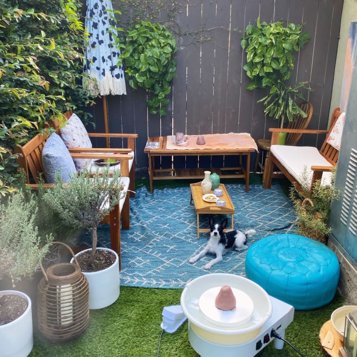 Dog resting in outdoor living space