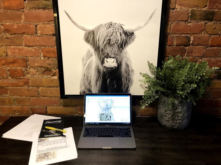 Workspace with framed black and white artwork of Highland Cattle