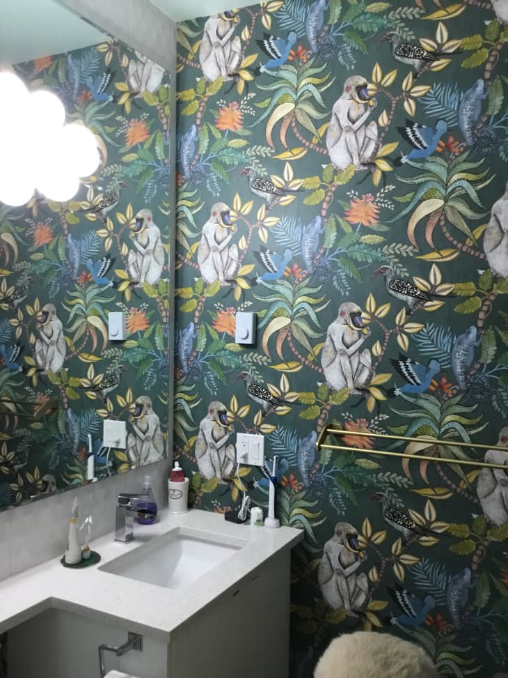 Bathroom wallpaper with monkeys, leaves, and tropical birds
