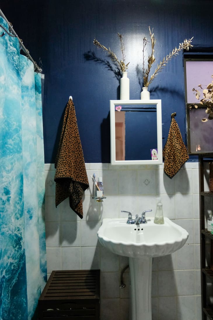 Bathroom with blue walls and shower curtain