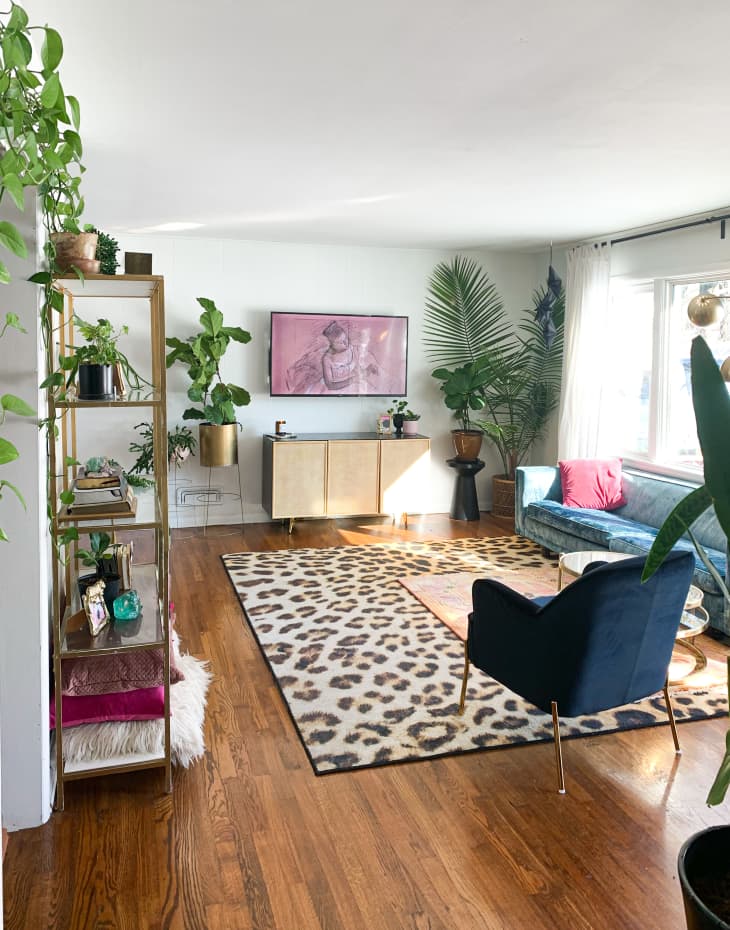Big, bright living room with cheetah print rug and lots of plants