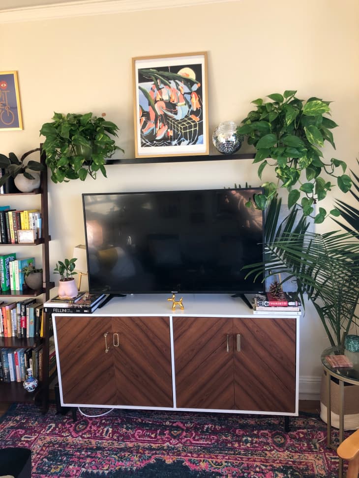 TV on mid-century cabinet surrounded by plants