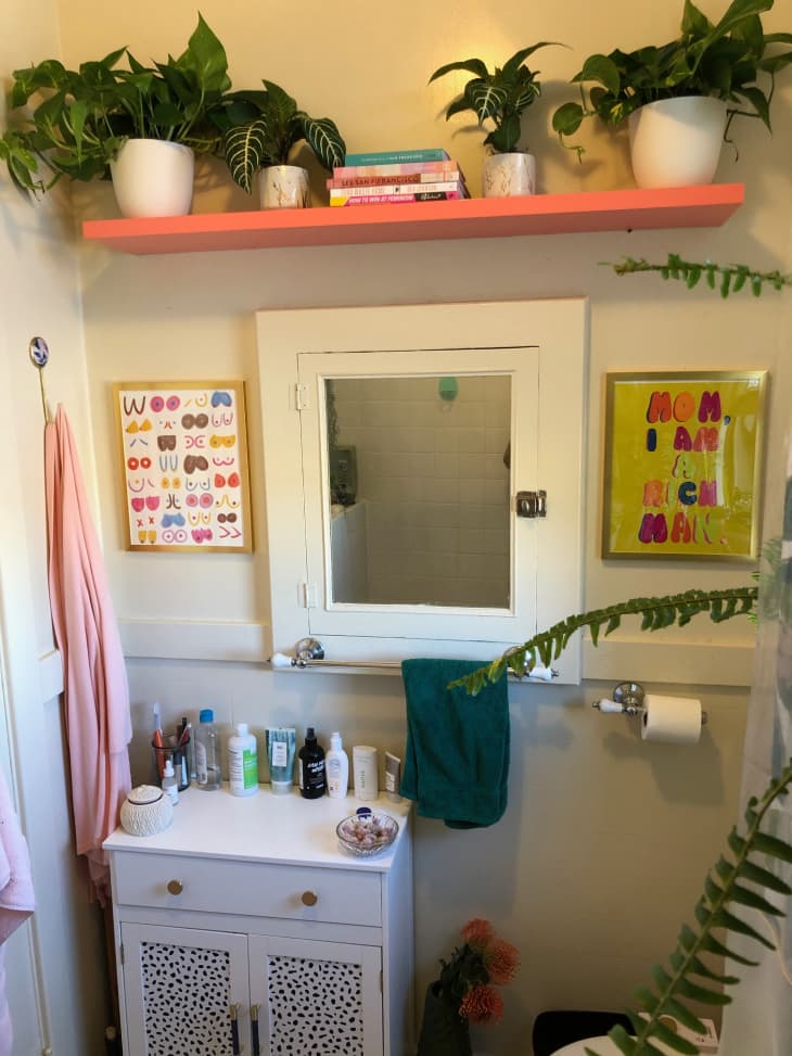 Colorful bathroom with pinkish orange plant shelf