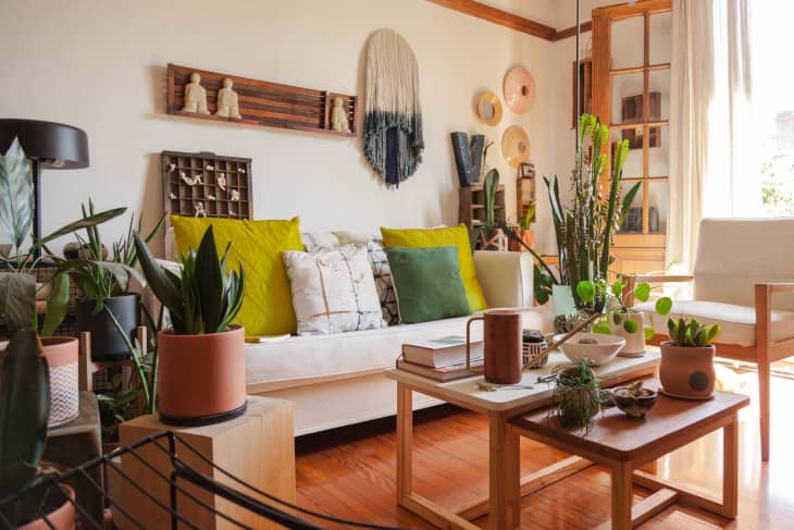 Eclectic, maximalist living room in earthy, neutral colors and textures including lots of pillows on a beige sofa and an array of plants around the room.