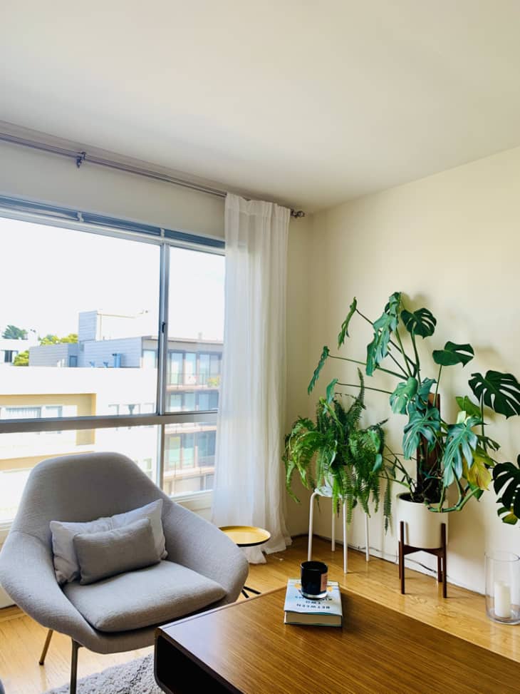 Large monstera plant and gray mid-century chair next to window